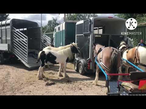 Видео: Где конная ярмарка appleby?