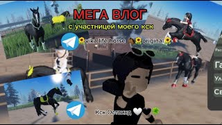 :      //mse////// //RRP//