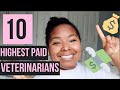 HIGHEST PAID CAREERS IN VET MED | DIFFERENT TYPES OF VETERINARIANS | DOGTOR LINDSEY