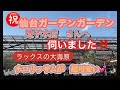 【ガーデンガーデン仙台愛子本店さん】に伺いました。春1番素敵なお花が沢山あふれておりました。