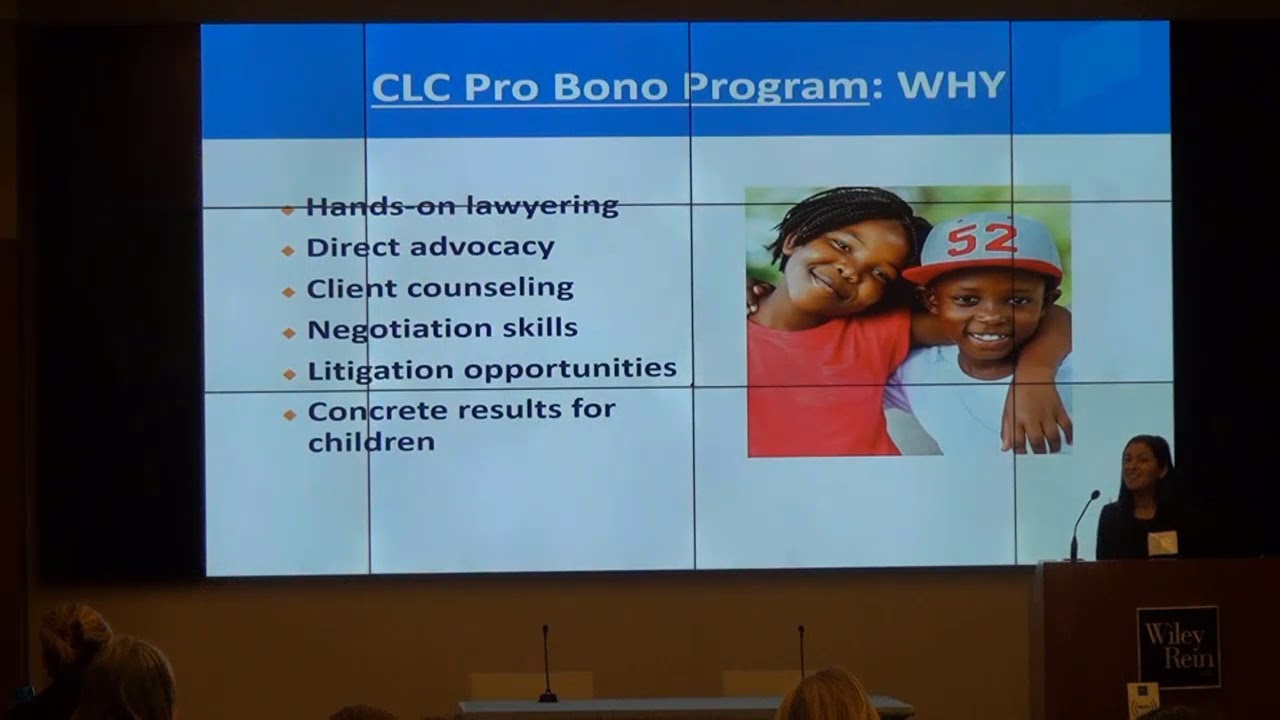 Custody Guardian ad Litem Pro Bono Attorney Training March 2019 YouTube