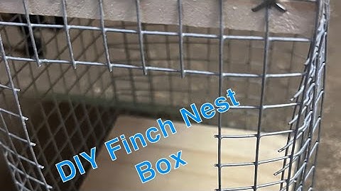 DIY Finch Nesting Box!