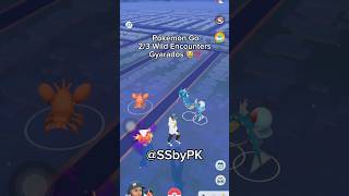 3 Gyarados Wild Encounters in Pokemon GO! 😼🔥 | August 2026