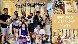 EPIC Dog Birthday Party! + Ideas for DIY Treats, Games, and More!!!