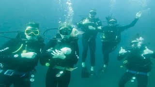 Taking our Friends Scuba Diving for the First Time *Vlog*