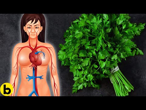 Video: Useful Properties Of Parsley