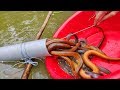 Unbelievable Fishing | Uniqe Fish Trapping System | PVC Pipe Fishing