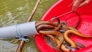 Unbelievable Fishing | Uniqe Fish Trapping System | PVC Pipe Fishing