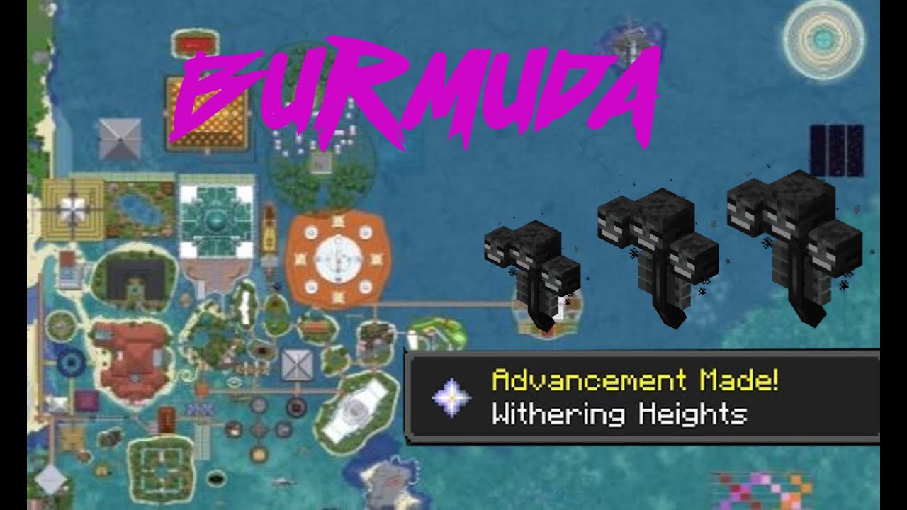 BERMUDA GRIEFED [Pumpkin x SBGz] Purity Vanilla