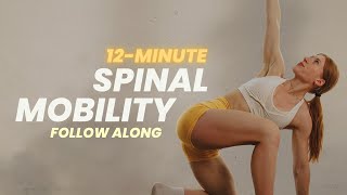 12 Min. Spine Mobility | Daily Routine | Thoracic Spine & Lower Back - Back Stretches