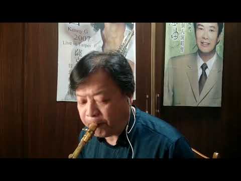 謝雷/負心的人 Sax Cover/郭進財薩克斯風原音教學