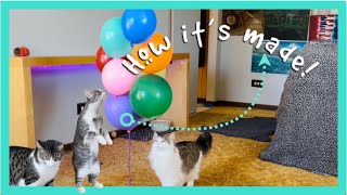 DIY Kittens Birthday balloon, how it was made!