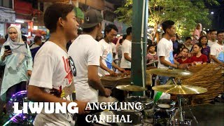 Liwung Versi Angklung // Cover Angklung Carehal ~ Angklung Malioboro Yogyakarta