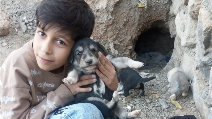 Mastlarni vasvasaga solish