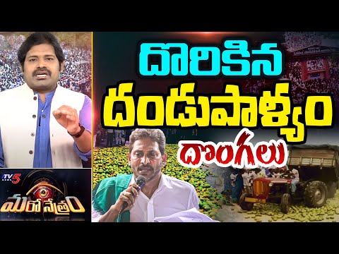 Maro Netram : బంగారుపాళ్యంలో బరితెగించారు! | YS Jagan Nellore Tour | Shiva Explained | TV5 News - TV5NEWS