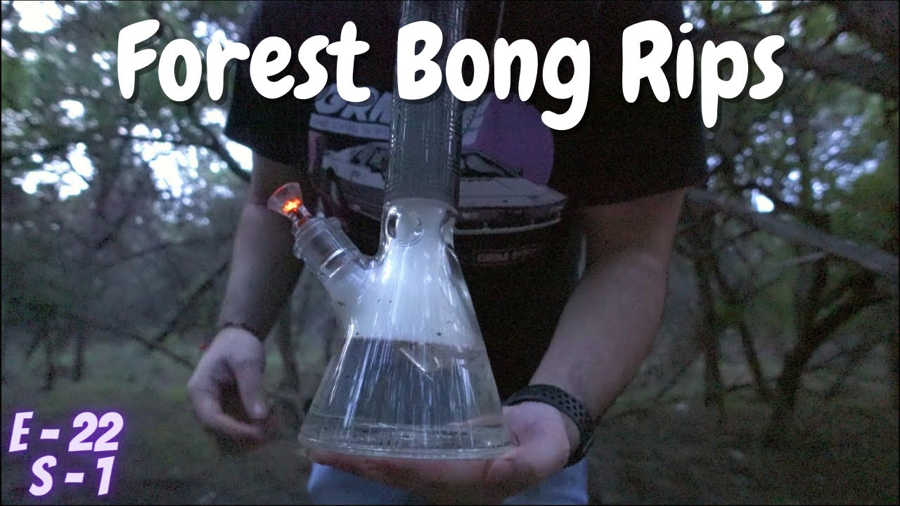 Forest Bong Rips 🌲💨 Nature & Nugs!