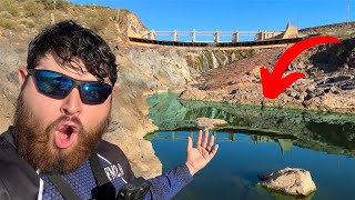 What Fish Live at the Bottom of This Dam? (Unexpected)