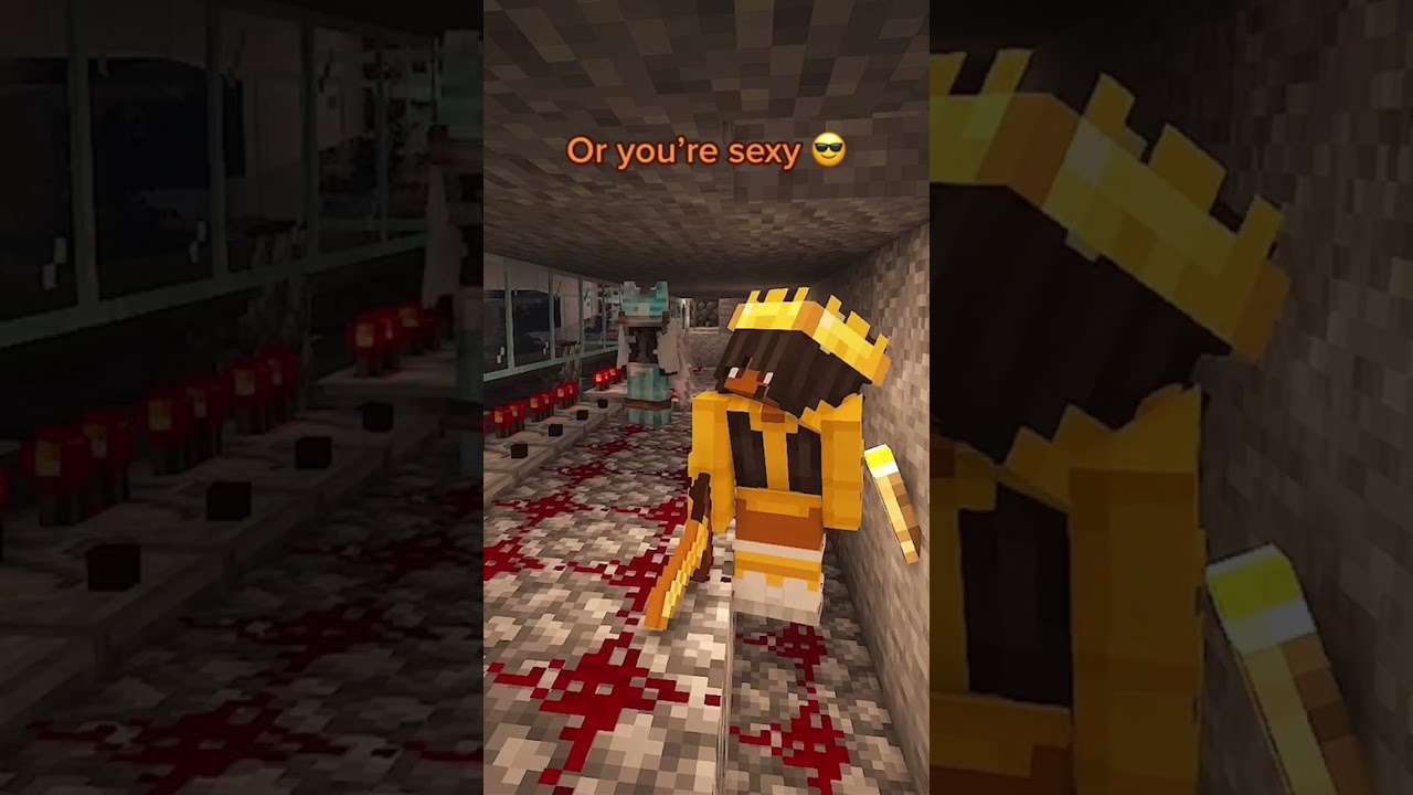 Can’t argue with that #minecraft #minecraftshorts #minecraftmemes