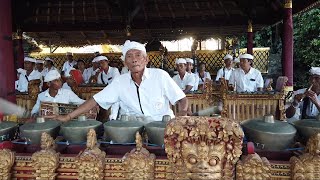 Tabuh Telu Gamelan Kuno Desa Bedulu, Gong Kebyar di Pura Samuan Tiga, Gianyar Bali Traditional Music