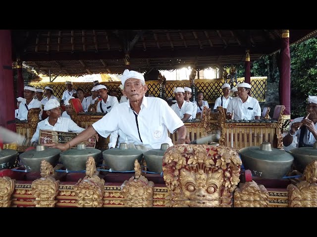 Tabuh Telu Gamelan Kuno Desa Bedulu, Gong Kebyar di Pura Samuan Tiga, Gianyar Bali Traditional Music class=