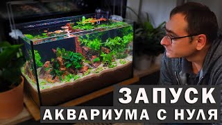 The launch of the Herbalist Aquarium in Germany for beginners! Aquarium of dreams at the price!