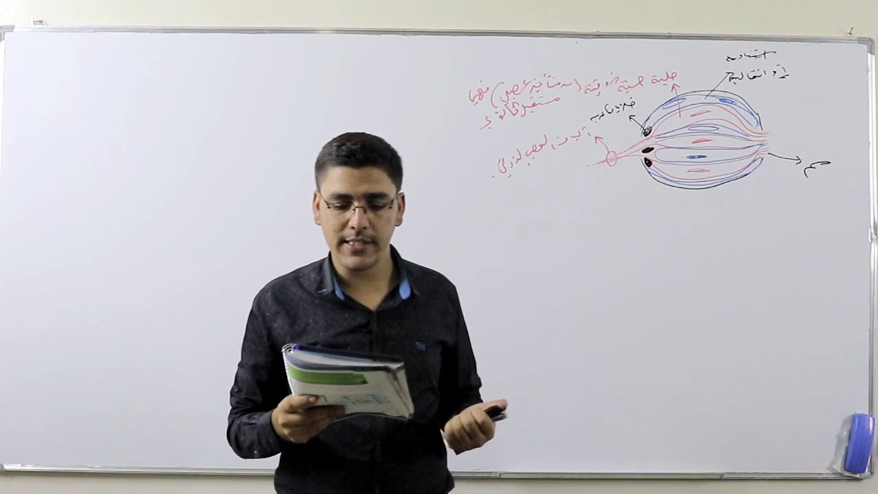 24 - المستقبلات الذوقية