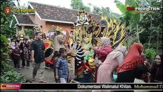 NYELEWENG - VOC. HARDIYANTO - SINGA DANGDUT - SINGA PURNAMA - H. SUHALI GROUP