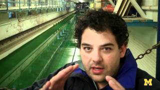 Shark-inspired hydropower turbine