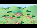 I Piani di prevenzione degli incendi forestali
