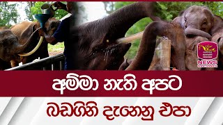 අම්මා නැති අපට බඩගිණි දැනෙනු එපා - Udawalawa Ath Athuru Sewana | Rupavahini News