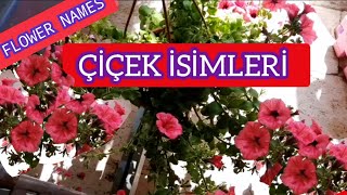 Çi̇çek İsi̇mleri̇ 100E Yakin Çi̇çek Ve İsi̇mleri̇ Flower Names