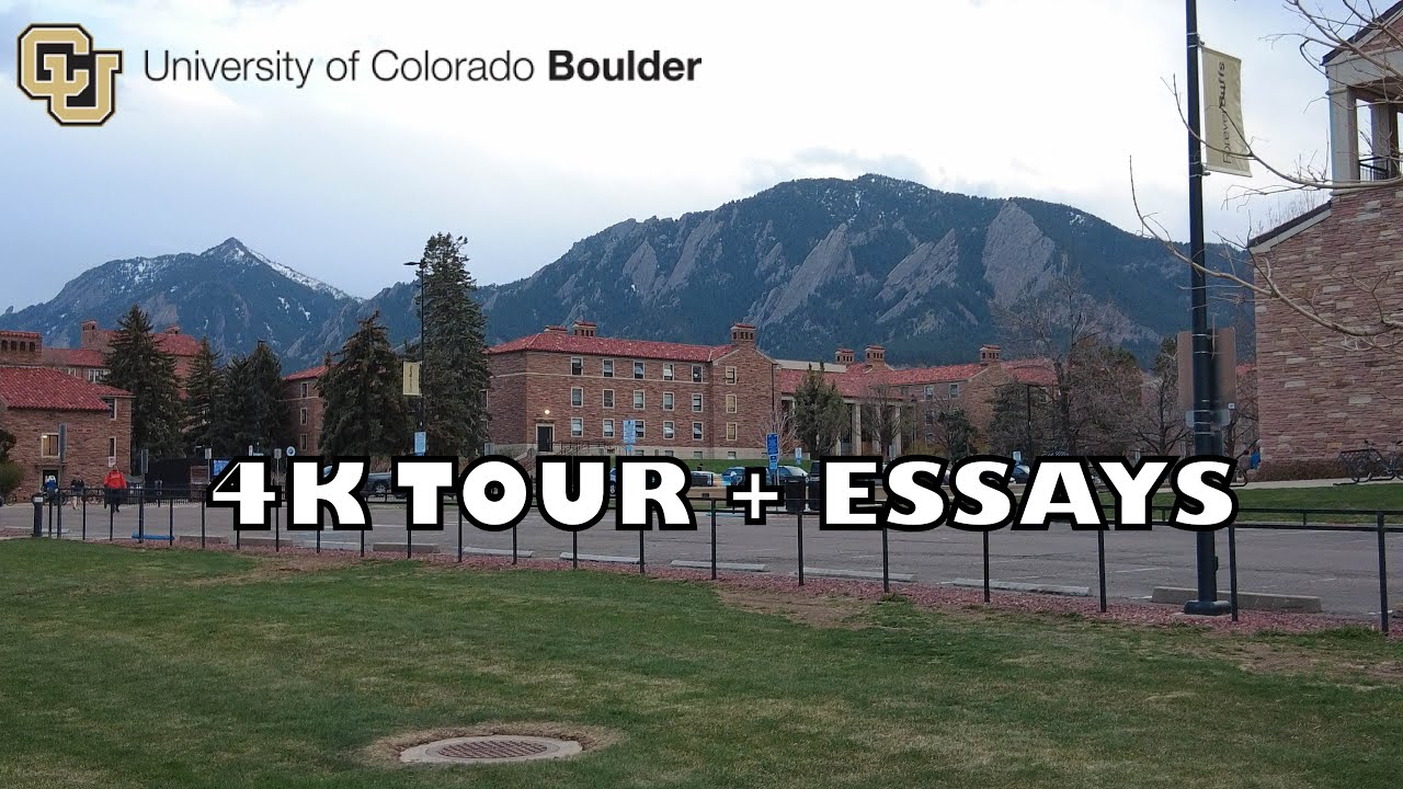 cu boulder unique identity essay