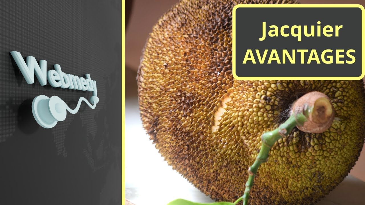 Jacquier - Les 8 principaux avantages pour la santé du jacquier