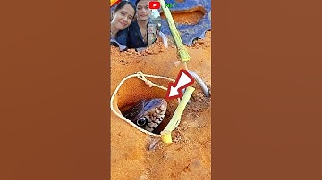 Đặt bẫy rắn độc là Bình Dương cả nhà ơi