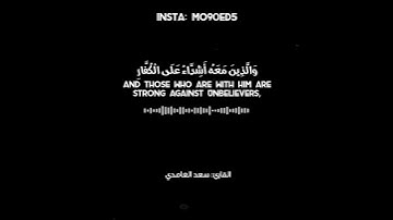 "محمد رسول الله والذين معه اشداء على الكفار رحماء بينهم" || سعد الغامدي || سورة الفتح || مقاطع قصيرة