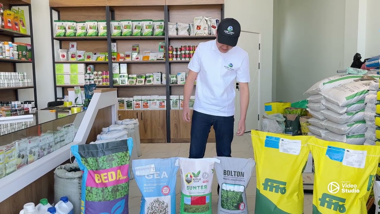 Beda urug’larimiz haqida ma’lumot🍀🍀+998915262727