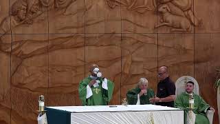 The 15th Sunday in Ordinary Time, Sunday Mass   July 12, 2026