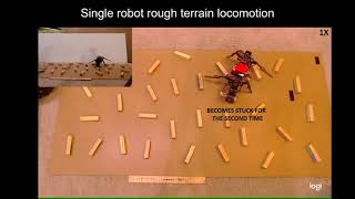 scirobotics abf1628 Movie S4