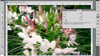 Урок 3 - Photoshop CS4 - цветовые схемы Урок 3 - Photoshop CS4 - цветовые схемы