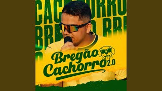 Bebê Vem Me Procurar