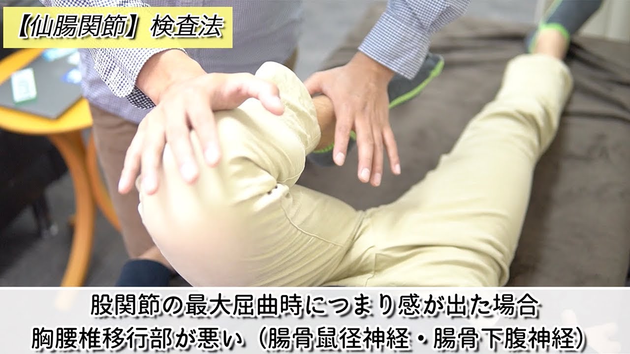 仙腸関節の理学検査法 本当に治せる治療家を創出するplt協会