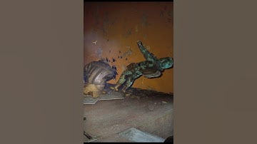 ☢️ STALKER 2 The Most Badass Mutant #Shorts #Stalker2 #games #youtubeshorts #stalker