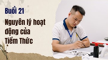 Buổi 21: Nguyên lý hoạt động của Tiềm Thức| Ngô Mạnh Cường