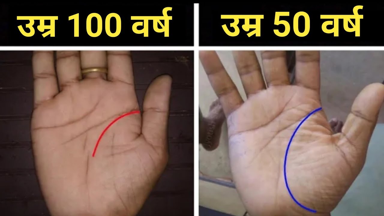 life line palmistry in hindi / palm reading / palmistry - YouTube
