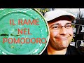 RAME per la Coltivazione di Pomodoro tutto quello che c'è da dire