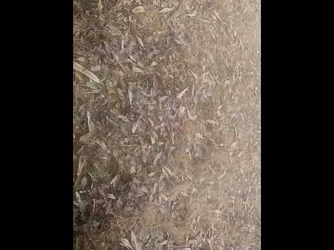 A Walk Around Machakos DICECE MercyNguku The World Traveller Ourafricanvillagehomekatutu