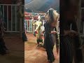 Dance show in mela  dhoom international circus  rehan ahmed khan