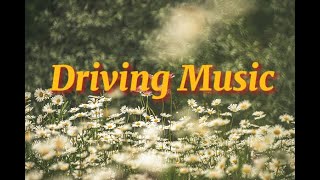 🚘 꿀 복숭아 밀크티 [Playlist] Driving Music with Milk Tea