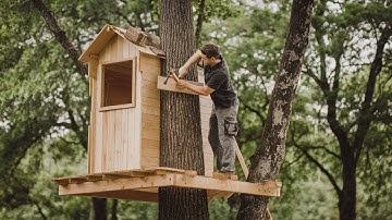 Man Builds TREEHOUSE 16ft HIGH in the Middle of the Forest | by ‪@Wild_Hammer