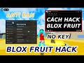 Cách Hack Blox Fruit Trên PC Auto Farm NO KEY ANTI BAN Không Lỗi Cực VIP trên máy tính